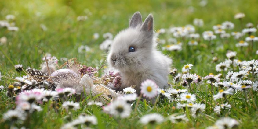 Ostern 2024