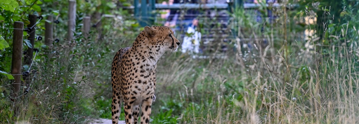Tierpark